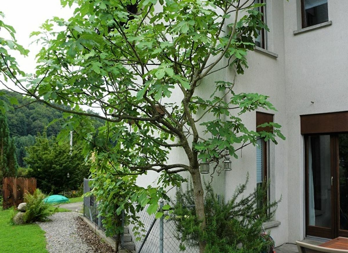 Grosszügiges Familiendomizil in bester Lage Luzern-Adligenswil